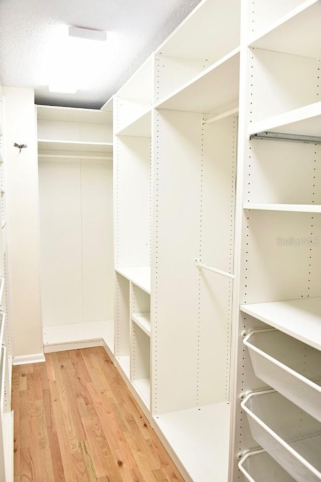 spacious closet featuring light hardwood / wood-style flooring