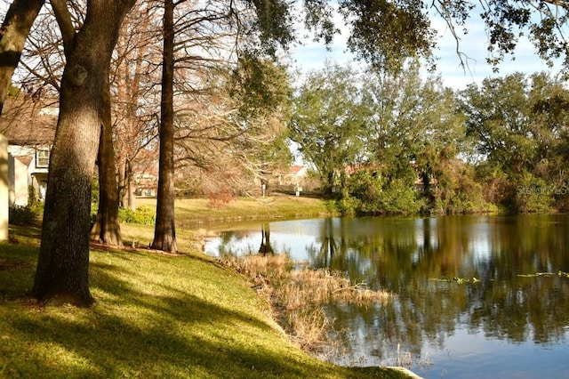 property view of water