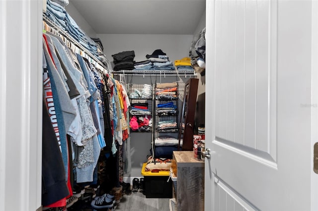 view of walk in closet