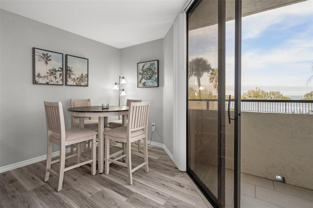 dining room with light hardwood / wood-style flooring