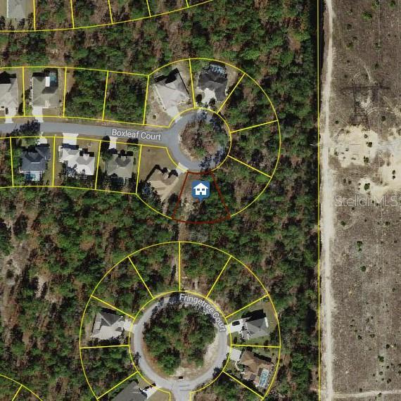 37 Boxleaf Ct, Homosassa FL, 34446 land for sale