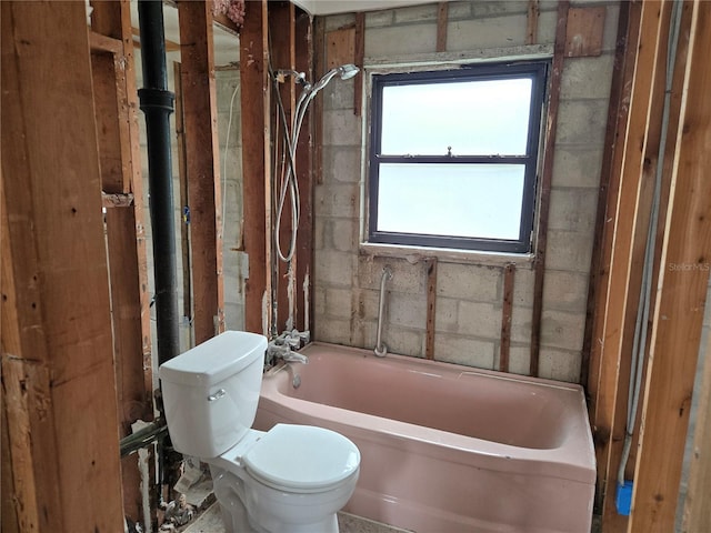 bathroom with a bathtub and toilet