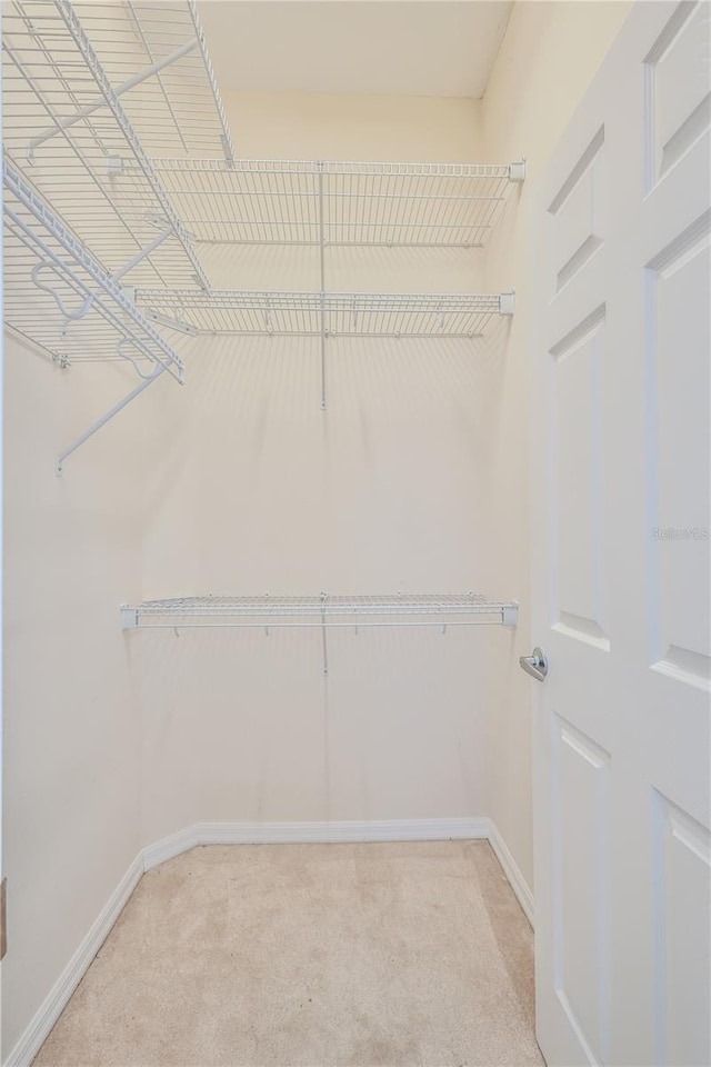 spacious closet with light colored carpet