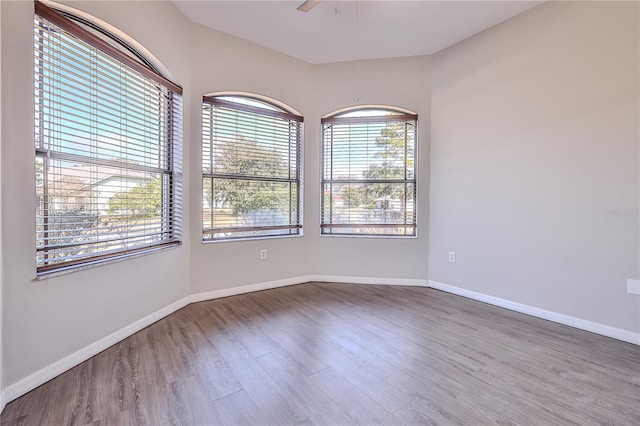 spare room featuring wood-type flooring and ceiling fan