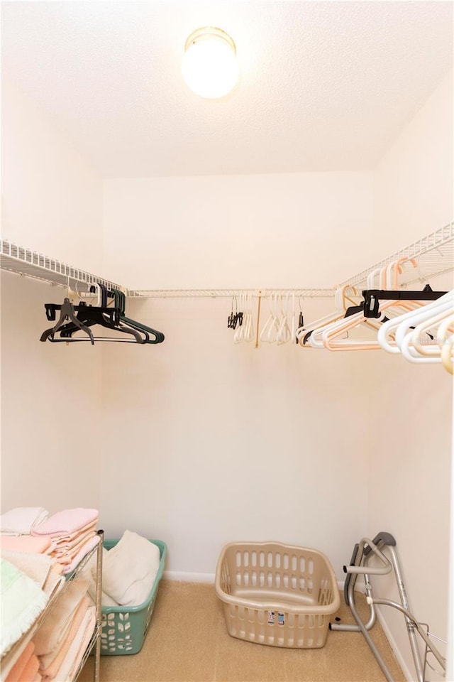 walk in closet featuring carpet floors