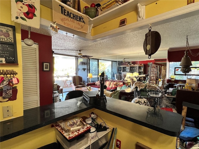 interior space with ceiling fan and a textured ceiling