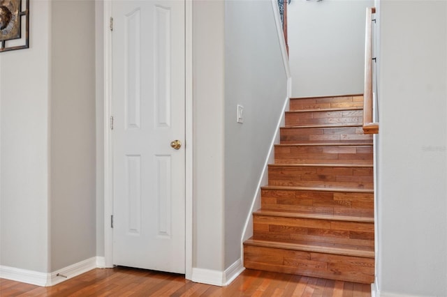 18819 Sunterra Dr, Land O Lakes, FL 34638 - stairway featuring wood finished floors and baseboards