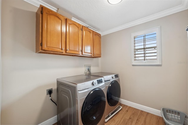 18819 Sunterra Dr, Land O Lakes, FL 34638 - washroom with cabinet space, washer and clothes dryer, baseboards, ornamental molding, and light wood-style flooring