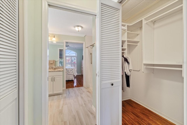 spacious closet with ceiling fan and light wood-type flooring