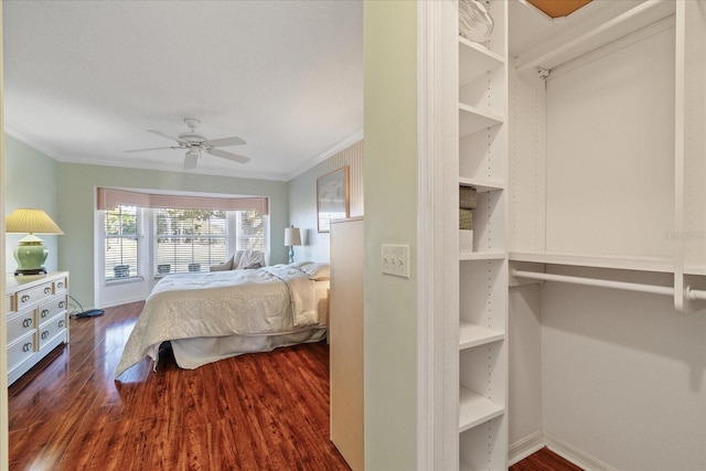 bedroom with dark wood-type flooring, ceiling fan, and crown molding