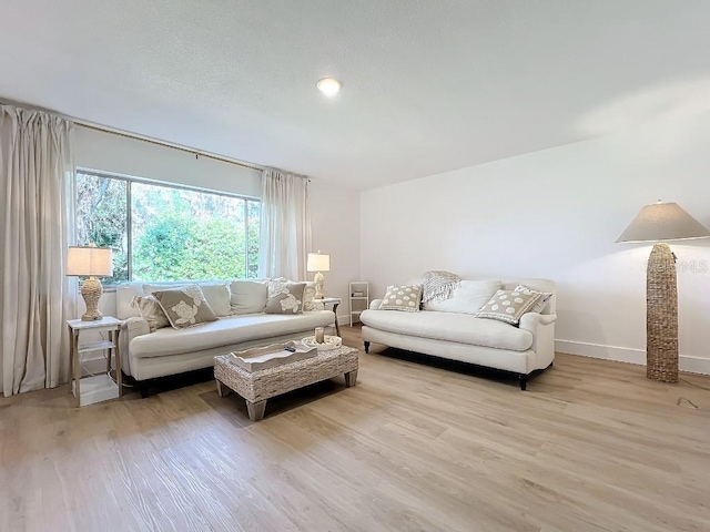 living room with light wood-type flooring