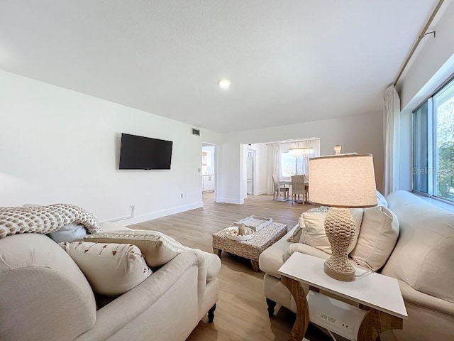 living room featuring light hardwood / wood-style flooring