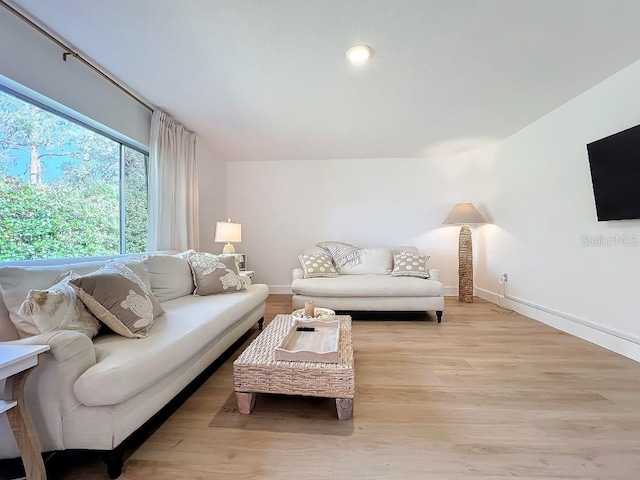 living room featuring light hardwood / wood-style floors