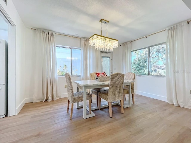 dining space with a chandelier and light hardwood / wood-style floors