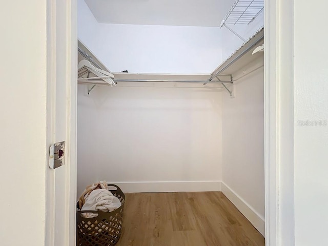 walk in closet featuring wood-type flooring