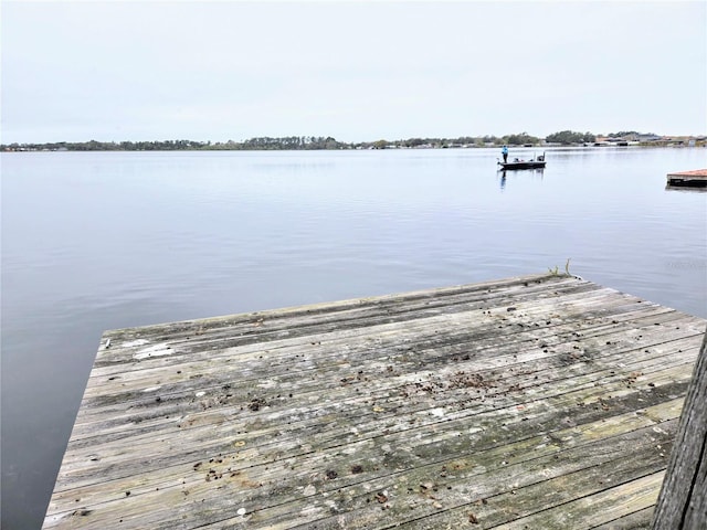 dock area with a water view