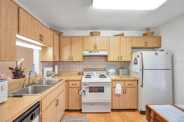 kitchen with tasteful backsplash, sink, white appliances, and light wood-type flooring