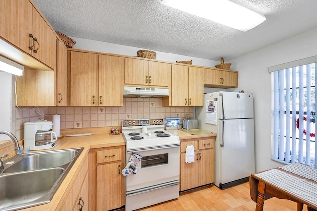 kitchen with sink, a textured ceiling, white appliances, light hardwood / wood-style floors, and backsplash