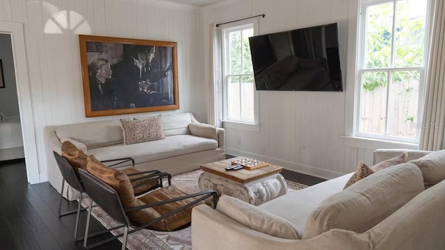 living room featuring hardwood / wood-style floors