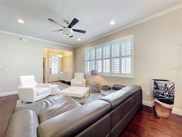 living room with dark wood-type flooring, plenty of natural light, crown molding, and a textured ceiling