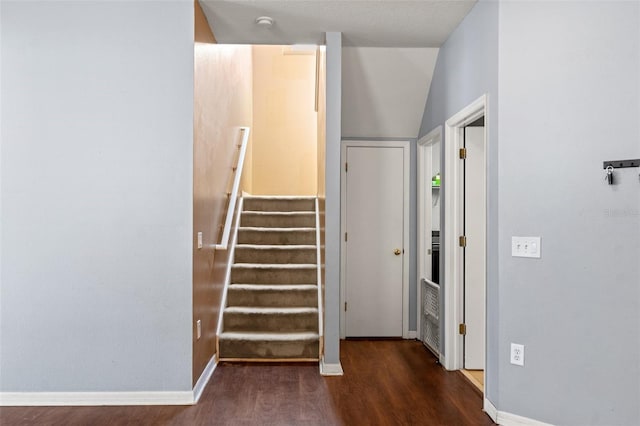 staircase featuring wood-type flooring