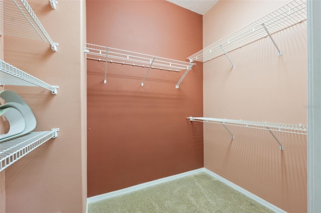 6112 Kinlock Ave, Spring Hill, FL 34608 - walk in closet with carpet flooring