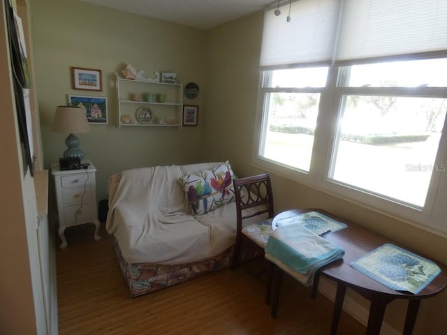 sitting room featuring hardwood / wood-style floors