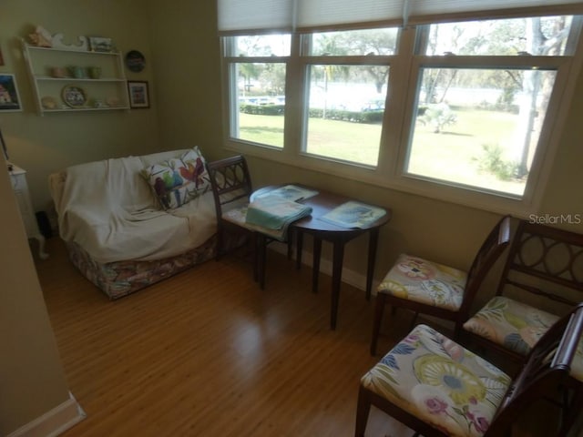 living room featuring hardwood / wood-style floors