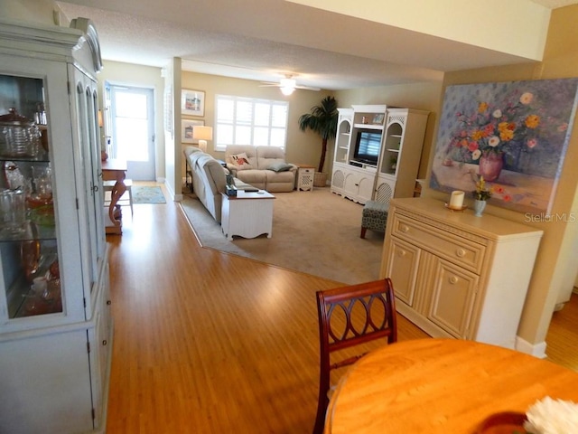 living area with light wood finished floors and a ceiling fan