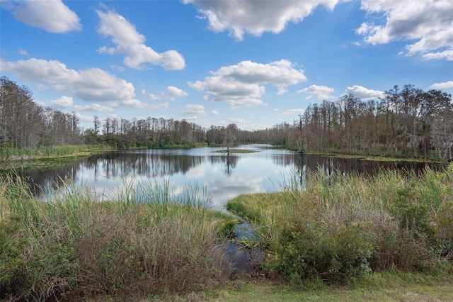 property view of water