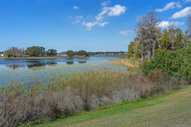 view of water feature