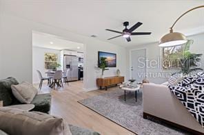 living room featuring wood-type flooring