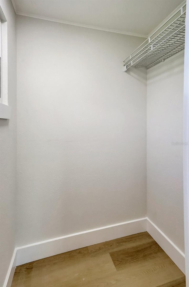 spacious closet featuring wood finished floors