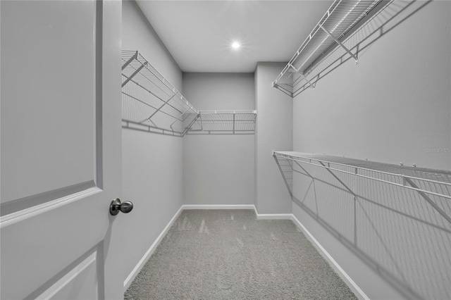 walk in closet featuring carpet flooring