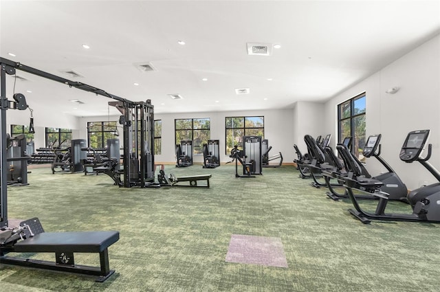 gym with carpet