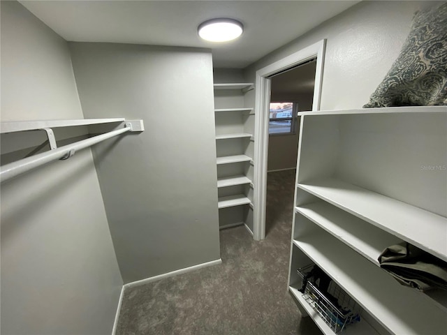 view of walk in closet