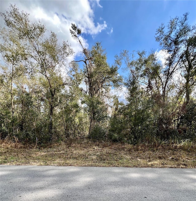 Smallman St, Webster FL, 33597 land for sale