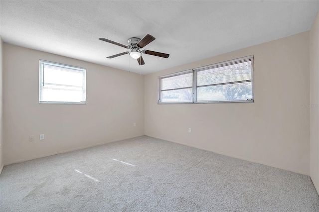 empty room featuring ceiling fan, carpet flooring, a wealth of natural light, and a textured ceiling