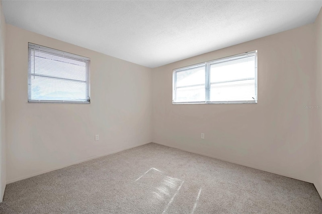 empty room with carpet flooring and a textured ceiling