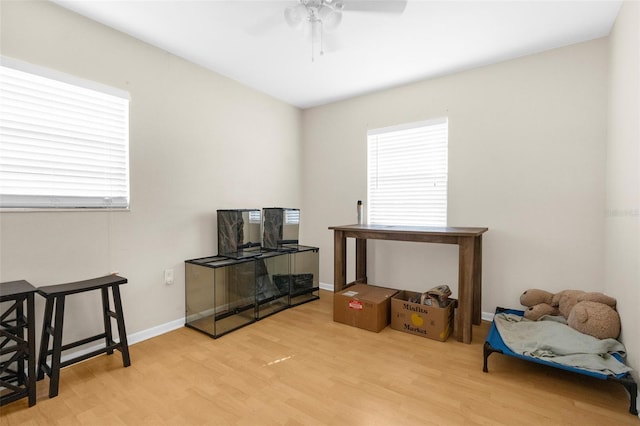 miscellaneous room featuring light hardwood / wood-style flooring and ceiling fan