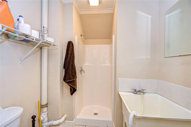 6801 Nowiki Ave, Hudson, FL 34667 - full bath featuring a bath, toilet, a stall shower, and ornamental molding