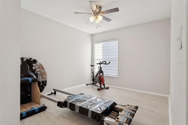 exercise area featuring ceiling fan and light wood-type flooring