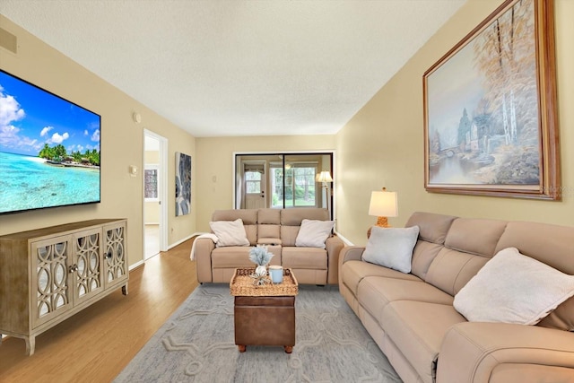 living room with a textured ceiling and light hardwood / wood-style flooring