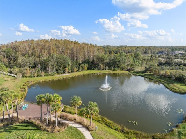 view of water feature