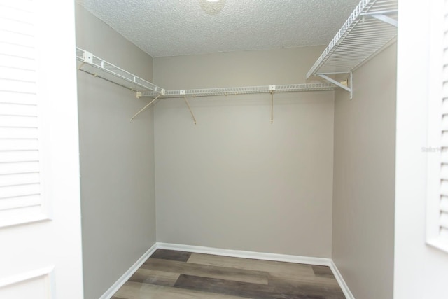 walk in closet with hardwood / wood-style flooring