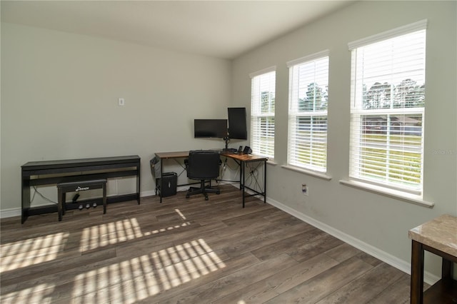 11134 Horned Owl Rd, Weeki Wachee, FL 34614 - office area with wood finished floors and baseboards