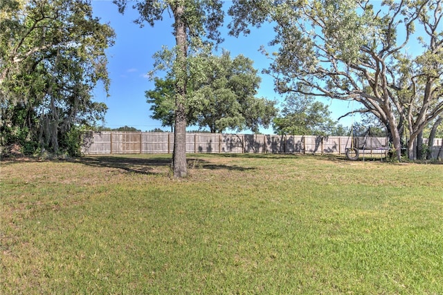 11134 Horned Owl Rd, Weeki Wachee, FL 34614 - view of yard featuring a fenced backyard and a trampoline