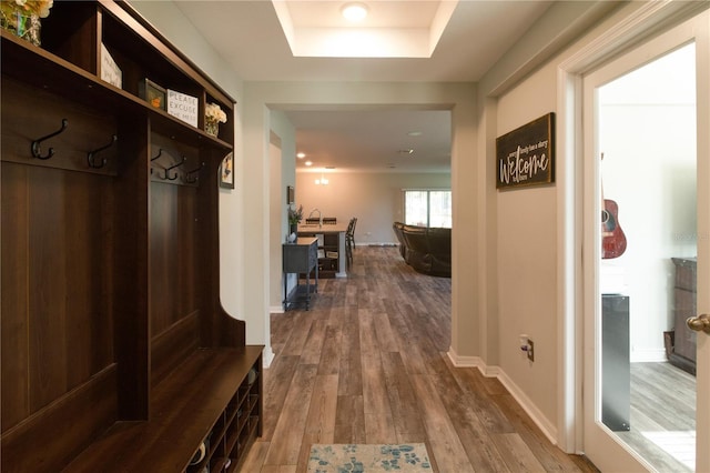 11134 Horned Owl Rd, Weeki Wachee, FL 34614 - mudroom with baseboards, a tray ceiling, recessed lighting, and dark wood-style flooring