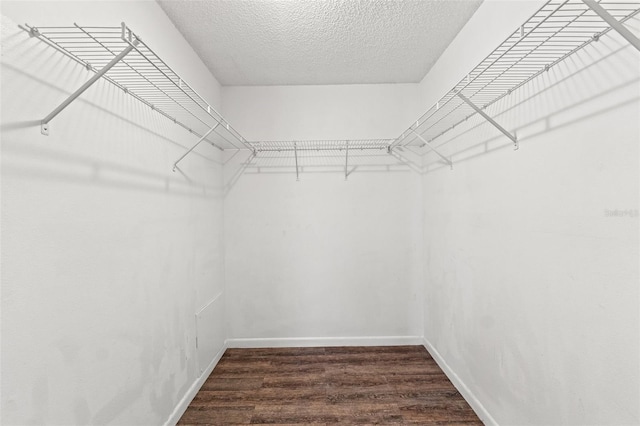 spacious closet featuring wood finished floors