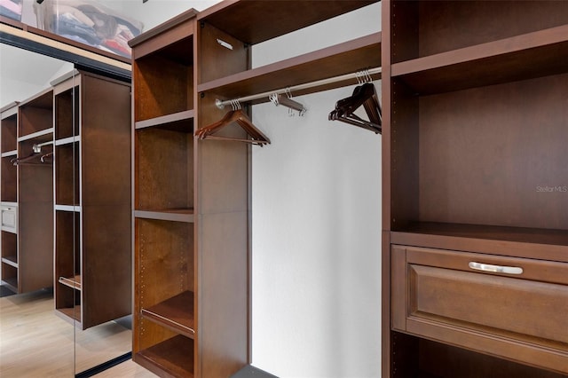 10209 W Waterlander Loop Unit 164, Homosassa, FL 34448 - walk in closet featuring light wood-type flooring